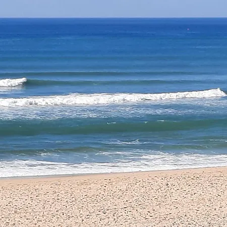 Apartment 1 Et 1 Coin Cabine, Piscine, Au Bord Du D 'aureilhan,proche De Mimizan *